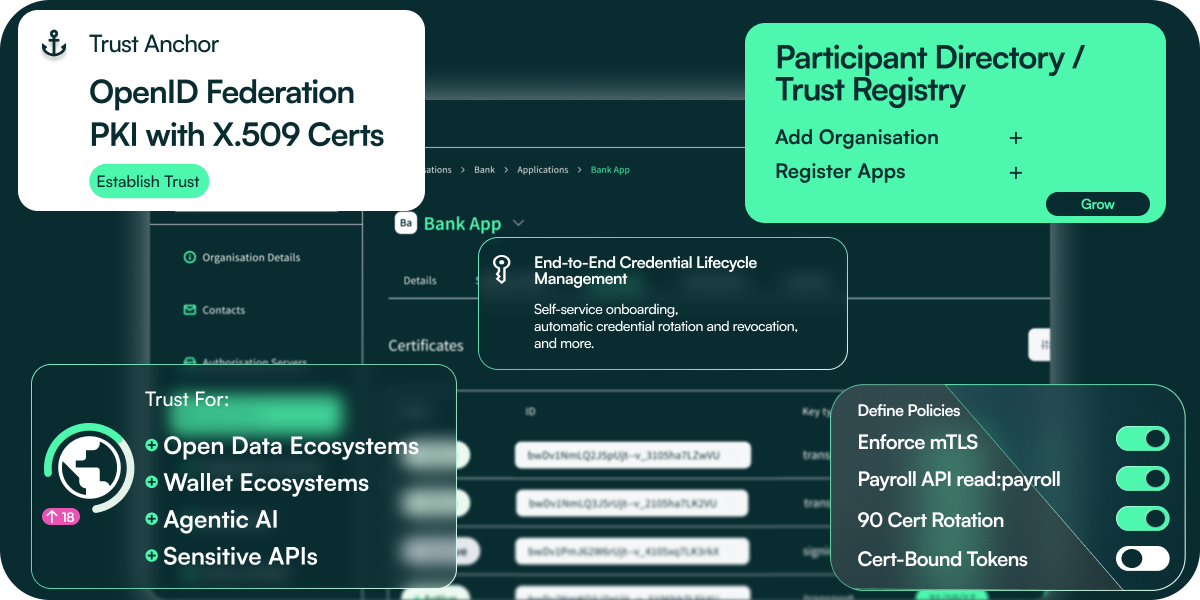 Raidiam Hero Section Banner - showcasing Raidiam as Trust Platform Provider